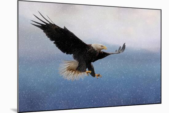 Snowy Flight Bald Eagle-Jai Johnson-Mounted Giclee Print