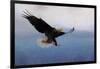 Snowy Flight Bald Eagle-Jai Johnson-Framed Giclee Print