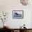 Snowy Flight Bald Eagle-Jai Johnson-Framed Giclee Print displayed on a wall
