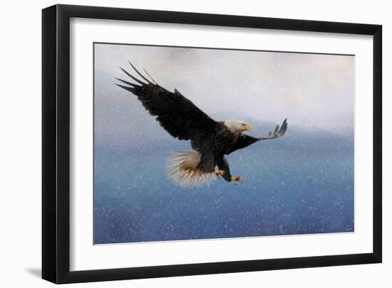 Snowy Flight Bald Eagle-Jai Johnson-Framed Giclee Print