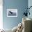 Snowy Flight Bald Eagle-Jai Johnson-Framed Giclee Print displayed on a wall