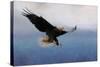 Snowy Flight Bald Eagle-Jai Johnson-Stretched Canvas