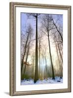 Snowy Forest at Koenigstuhl Mountain in Baden-Wurttemberg-Andreas Brandl-Framed Photographic Print