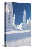 Snowy Forest in Lapland, Finland-Risto0-Stretched Canvas