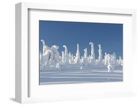 Snowy Forest in Lapland, Finland-Risto0-Framed Photographic Print