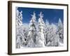 Snowy Forest in the National Park Bavarian Forest in the Deep of Winter. Bavaria, Germany-Martin Zwick-Framed Photographic Print