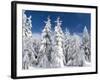 Snowy Forest in the National Park Bavarian Forest in the Deep of Winter. Bavaria, Germany-Martin Zwick-Framed Photographic Print