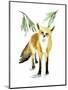 Snowy Fox II-Annie Warren-Mounted Art Print