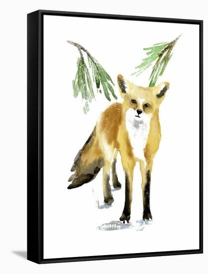 Snowy Fox II-Annie Warren-Framed Stretched Canvas