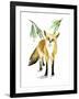 Snowy Fox II-Annie Warren-Framed Art Print