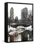 Snowy Gapstow Bridge of Central Park, Manhattan in New York City-Philippe Hugonnard-Framed Stretched Canvas