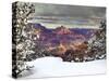 Snowy Grand Canyon I-David Drost-Stretched Canvas