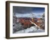 Snowy Grand Canyon III-David Drost-Framed Photographic Print