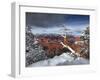 Snowy Grand Canyon III-David Drost-Framed Photographic Print