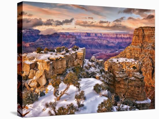 Snowy Grand Canyon V-David Drost-Stretched Canvas