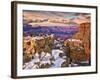 Snowy Grand Canyon V-David Drost-Framed Photographic Print