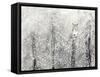 Snowy Habitat I-Alicia Ludwig-Framed Stretched Canvas