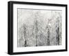 Snowy Habitat I-Alicia Ludwig-Framed Art Print