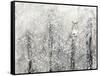 Snowy Habitat I-Alicia Ludwig-Framed Stretched Canvas