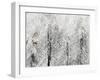 Snowy Habitat II-Alicia Ludwig-Framed Art Print