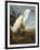 Snowy Heron or White Egret / Snowy Egret (Egretta Thula), Plate CCKLII, from 'The Birds of America'-John James Audubon-Framed Giclee Print