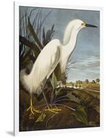 Snowy Heron or White Egret / Snowy Egret (Egretta Thula), Plate CCKLII, from 'The Birds of America'-John James Audubon-Framed Giclee Print