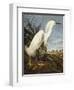 Snowy Heron or White Egret / Snowy Egret (Egretta Thula), Plate CCKLII, from 'The Birds of America'-John James Audubon-Framed Premium Giclee Print