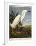 Snowy Heron or White Egret / Snowy Egret-John James Audubon-Framed Giclee Print