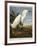 Snowy Heron or White Egret / Snowy Egret-John James Audubon-Framed Giclee Print