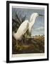 Snowy Heron or White Egret / Snowy Egret-John James Audubon-Framed Giclee Print