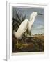 Snowy Heron or White Egret / Snowy Egret-John James Audubon-Framed Giclee Print