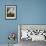 Snowy Heron or White Egret / Snowy Egret-John James Audubon-Framed Giclee Print displayed on a wall