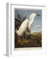 Snowy Heron or White Egret / Snowy Egret-John James Audubon-Framed Giclee Print