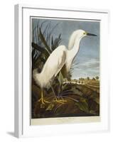 Snowy Heron or White Egret / Snowy Egret-John James Audubon-Framed Giclee Print