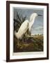 Snowy Heron or White Egret / Snowy Egret-John James Audubon-Framed Giclee Print