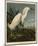 Snowy Heron or White Egret-John James Audubon-Mounted Art Print