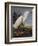 Snowy Heron Or White Egret-John James Audubon-Framed Art Print