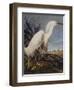 Snowy Heron Or White Egret-John James Audubon-Framed Art Print