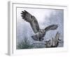 Snowy Landing-Russell Cobane-Framed Giclee Print