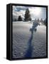 Snowy Landscape, Arosa, Switzerland-Alessandro Della Bella-Framed Stretched Canvas