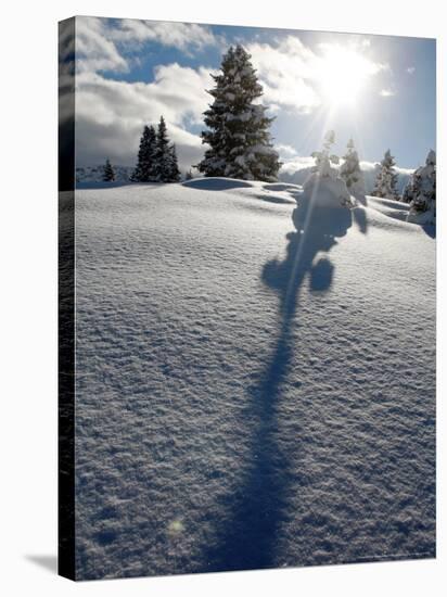 Snowy Landscape, Arosa, Switzerland-Alessandro Della Bella-Stretched Canvas