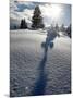 Snowy Landscape, Arosa, Switzerland-Alessandro Della Bella-Mounted Photographic Print