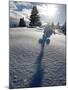 Snowy Landscape, Arosa, Switzerland-Alessandro Della Bella-Mounted Photographic Print