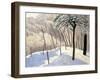 Snowy Landscape in Bois De Boulogne; Paysage De Neige Au Bois De Boulogne, 1905-Felix Edouard Vallotton-Framed Giclee Print