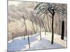 Snowy Landscape in Bois De Boulogne; Paysage De Neige Au Bois De Boulogne, 1905-Felix Edouard Vallotton-Mounted Giclee Print