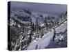 Snowy Landscape Seen from Arapahoe Peak, Colorado-Michael Brown-Stretched Canvas