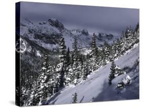 Snowy Landscape Seen from Arapahoe Peak, Colorado-Michael Brown-Stretched Canvas