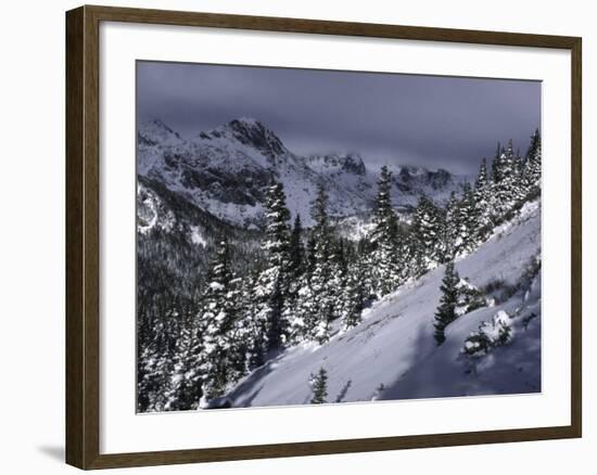 Snowy Landscape Seen from Arapahoe Peak, Colorado-Michael Brown-Framed Photographic Print