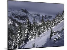 Snowy Landscape Seen from Arapahoe Peak, Colorado-Michael Brown-Mounted Photographic Print