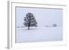 Snowy Landscape with Trees, Broadwell, Gloucestershire, Cotswolds, England, United Kingdom, Europe-Stuart Black-Framed Photographic Print